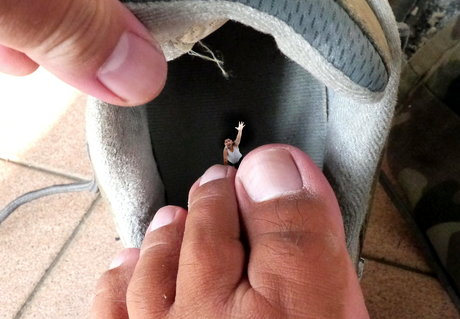 wild boar giant Quick photo