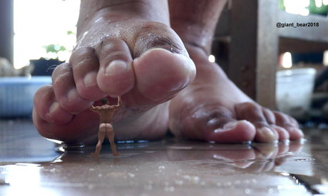 wild boar giant star free galleries