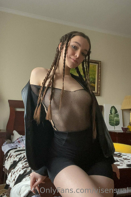 visensual model best archive