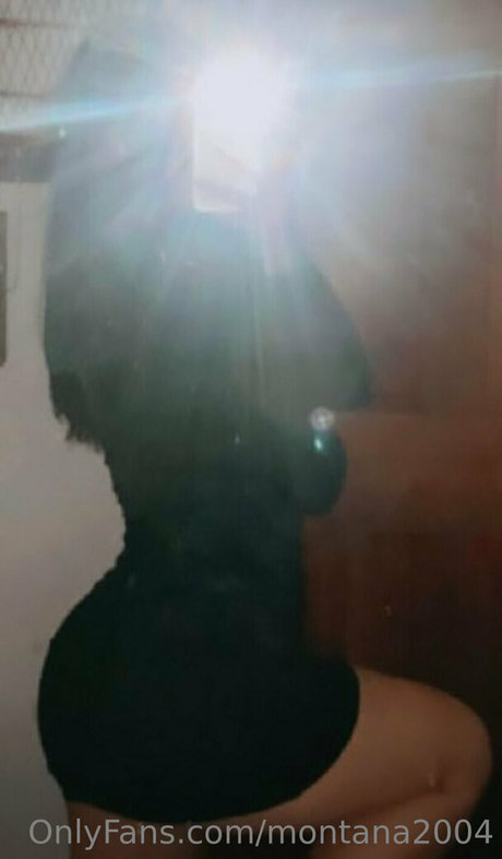 montana2004 art star image