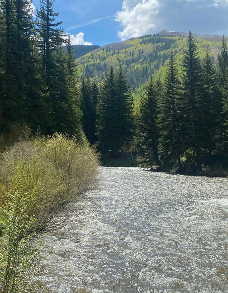 montana2004 hd star pictures