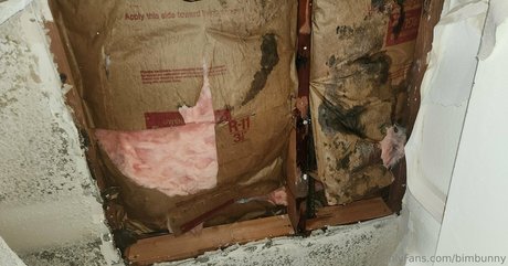 trans xxx onlyfans beautiful nude photo