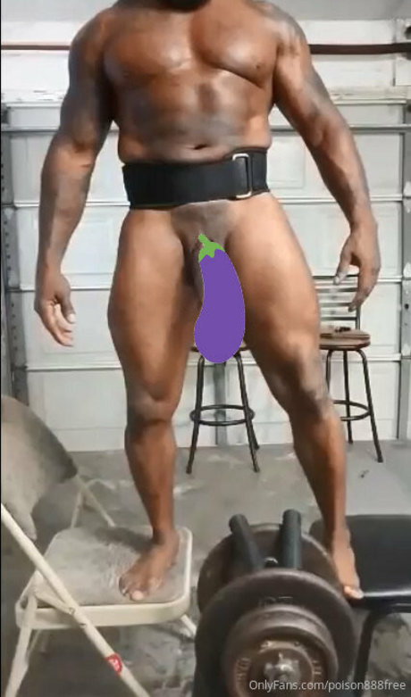 toolsfreepage star beautiful img