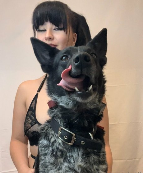 chubby gay onlyfans erotic img