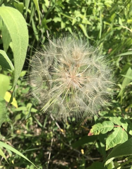 latin onlyfans hot porn pictures