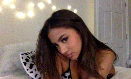 dani3lah star pornographic galleries