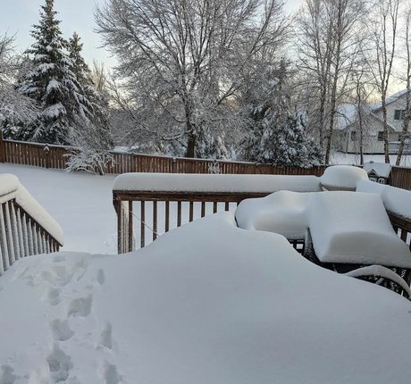 Polly Anna perfect star img