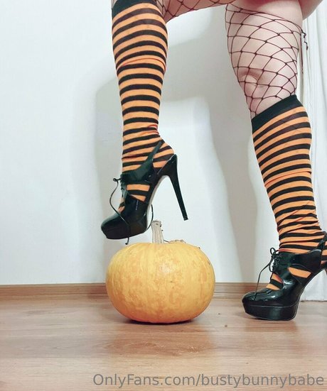 bustybunnybabe erotic star gallery