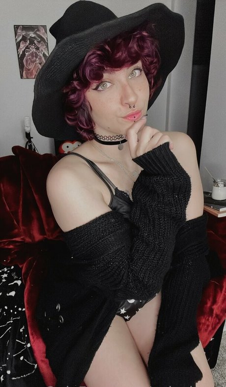 colechyv2 high quality model img