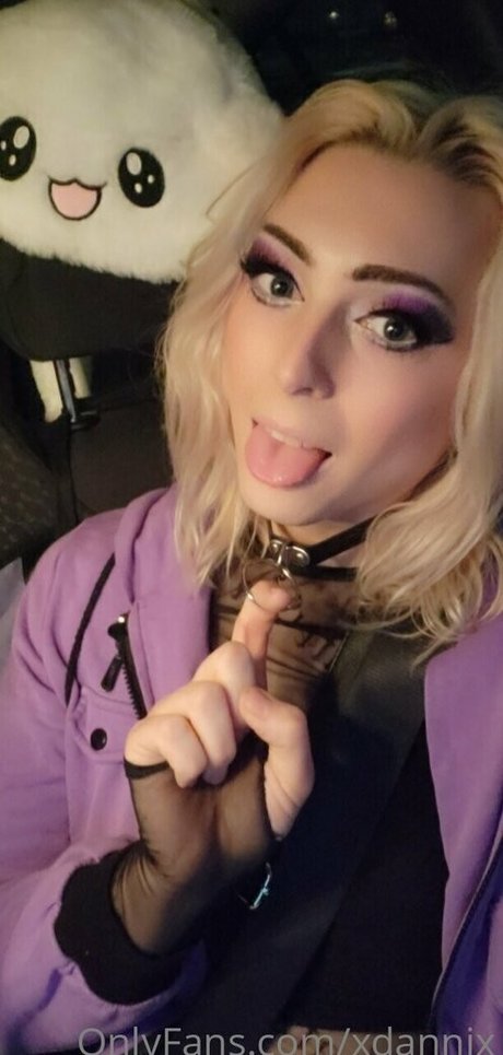 xdannix nice star galleries