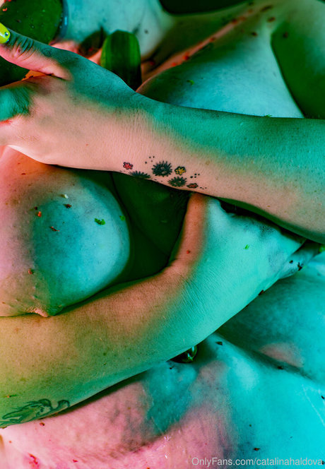 catalinahaldova star top pic