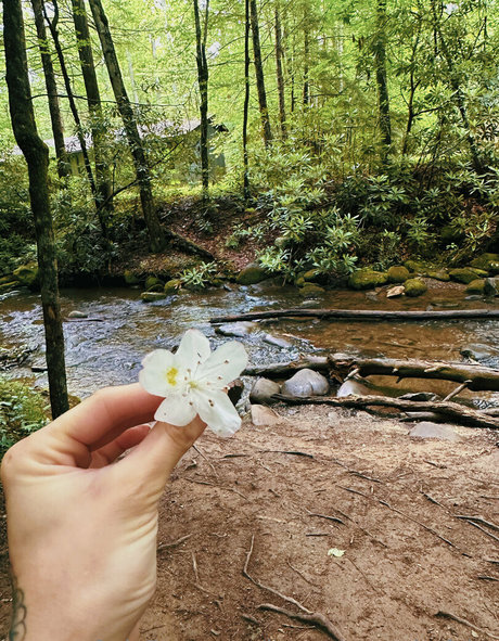 lunapowersthefairy pornstar nude images