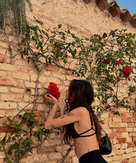 Gabbygonxo naked star gallery