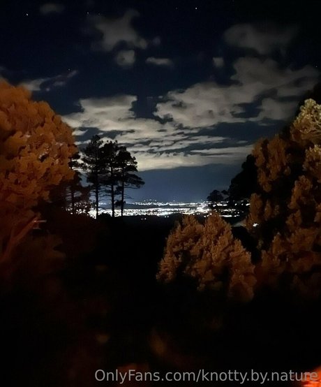 knotty by nature model best photo