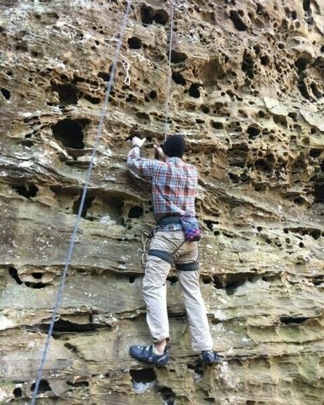 knotty by nature free model images