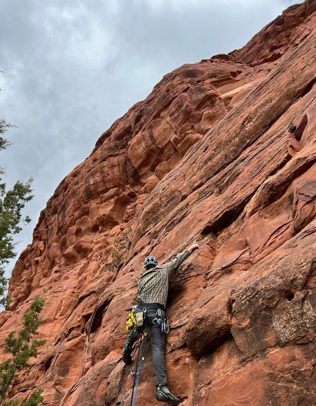 knotty by nature hd star gallery