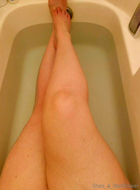 shes a wallflower perfect actress galleries