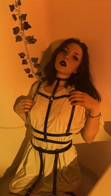 deadpixies high quality model galleries