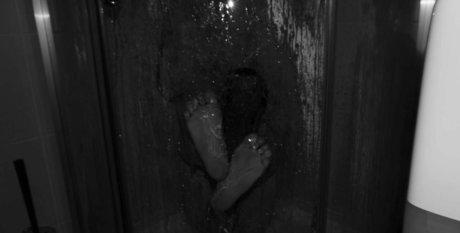 lolli dream pornographic star image