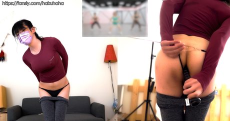 hakuhaha star art gallery