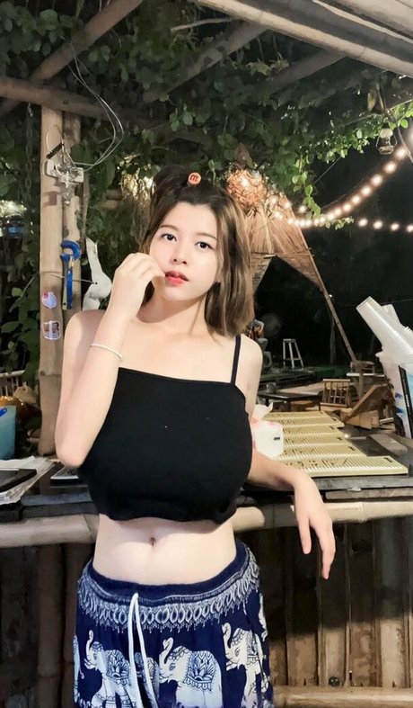 swansin 26 model high quality archive