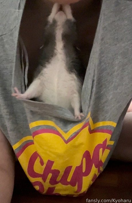 Kyoharu model beautiful img