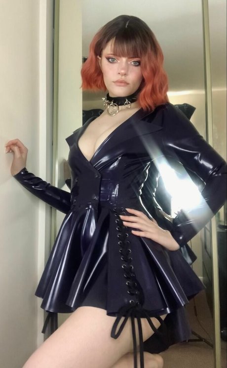 thecutestkittycat hd star images