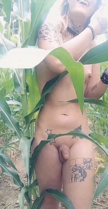 SoftBoxBoi nude pornstar gallery