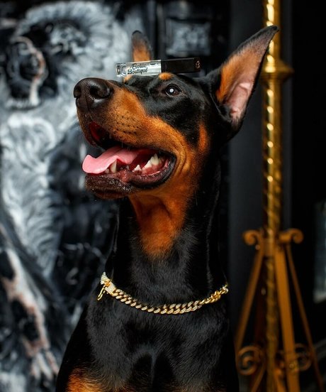 Thailiian model porn picture