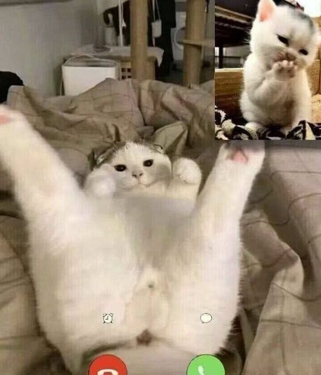 LeaFoxy hot pornstar pic