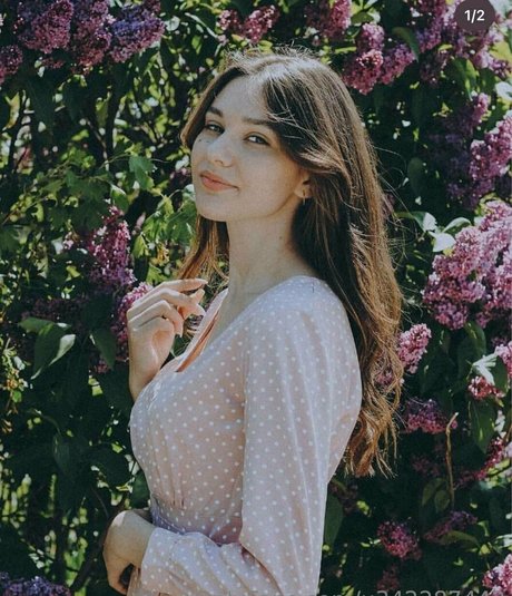 jessy shine exclusive star photos