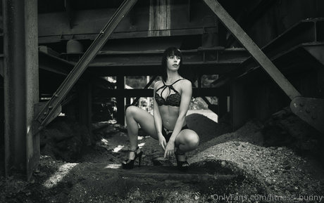 fitness bunny nudes pornstar galleries