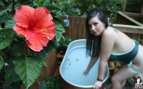 comedian onlyfans hot naked img