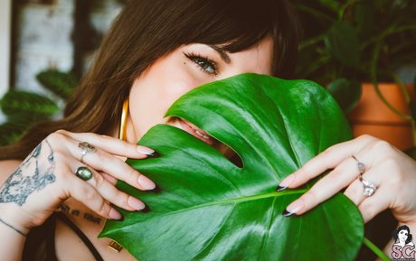 Mimi Flowers__MimiFlowersss hot model gallery