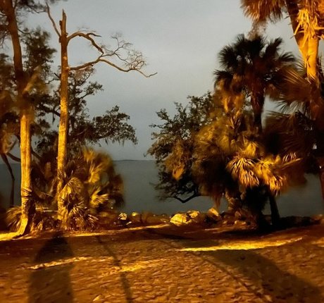 Lola Dubrul sexy star pictures