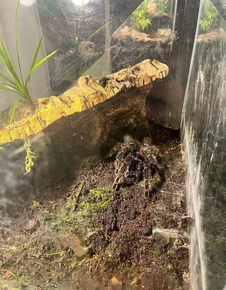 anal teen onlyfans nudes photo