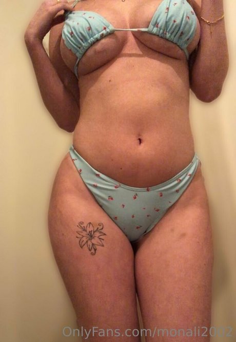 monali2002 art star galleries