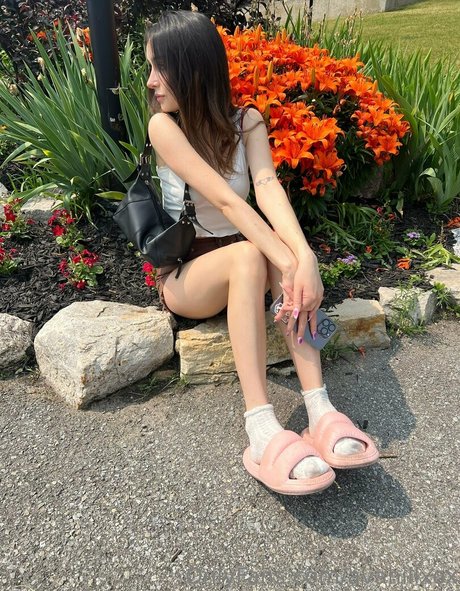 freelolamoon exclusive star img