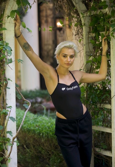 Allie Alina pornstar nudes picture