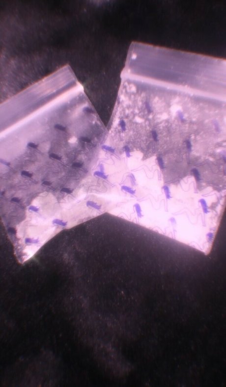 skinny babe onlyfans free sex pic