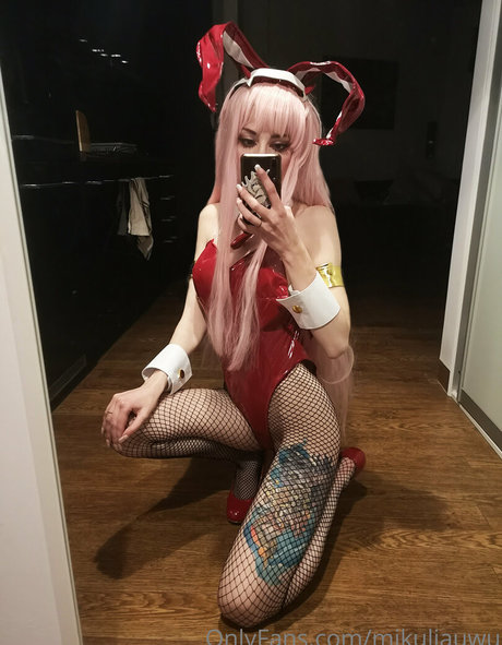 mikuliauwu model img