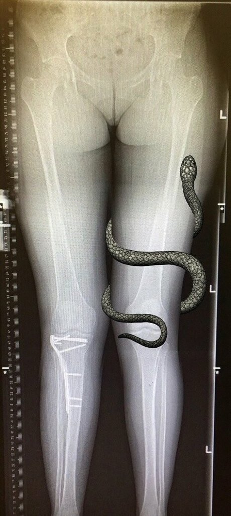 grungifungifree nude pornstar gallery