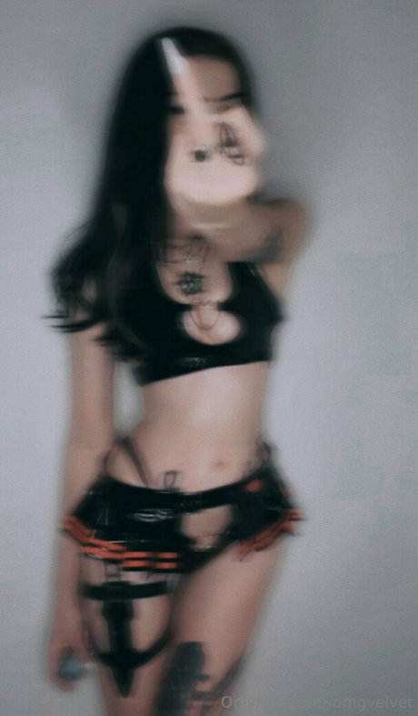 omgvelvet star hd pics