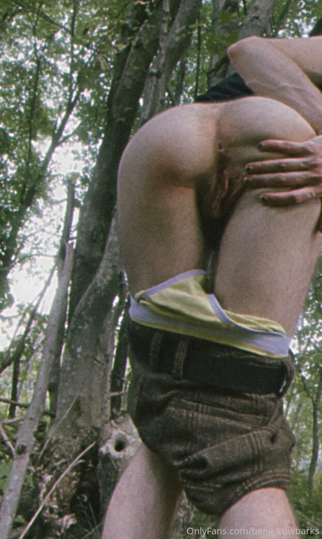 twinkbug69 star art photo