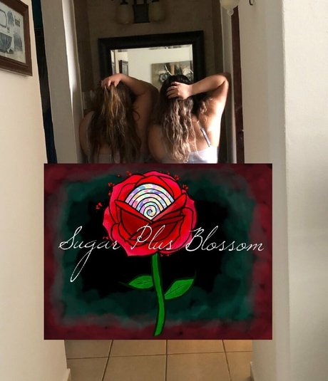 lolliandrose star perfect image