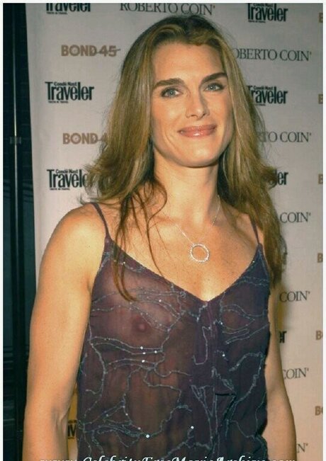 Brooke Shields hot model img