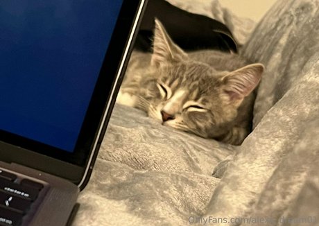 cum in ass onlyfans xxx photos