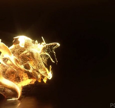 Cheyla Collins top pornstar photos