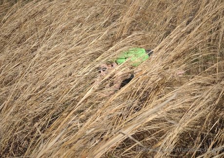 madamedragnir star xxx pictures