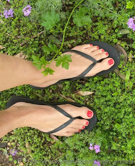 hazel high arches adult model galleries